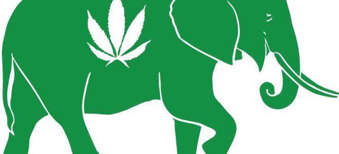 CBD parc animalier