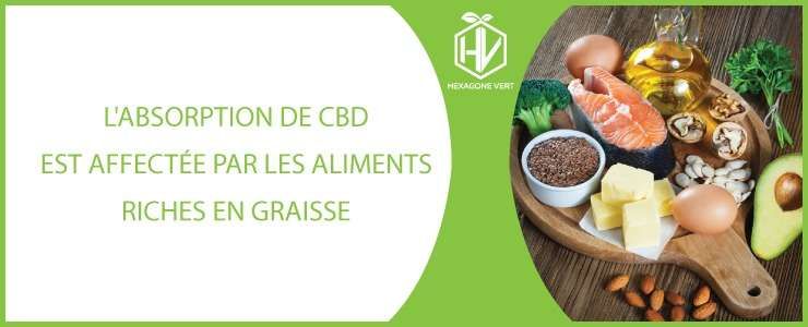 L'absorption de CBD est affectée par les aliments riches en graisses