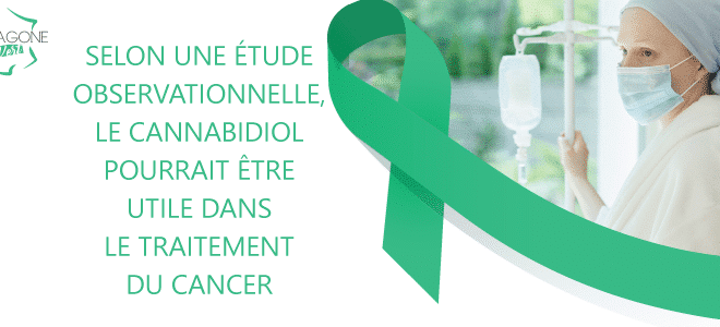 Selon une étude observationnelle, le CBD pourrait être utile dans le traitement du cancer