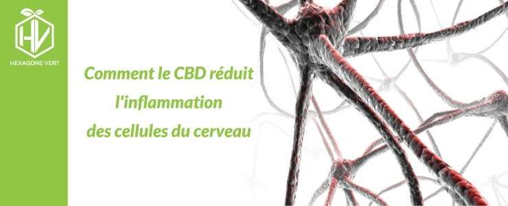 cbd inflammation cerveau