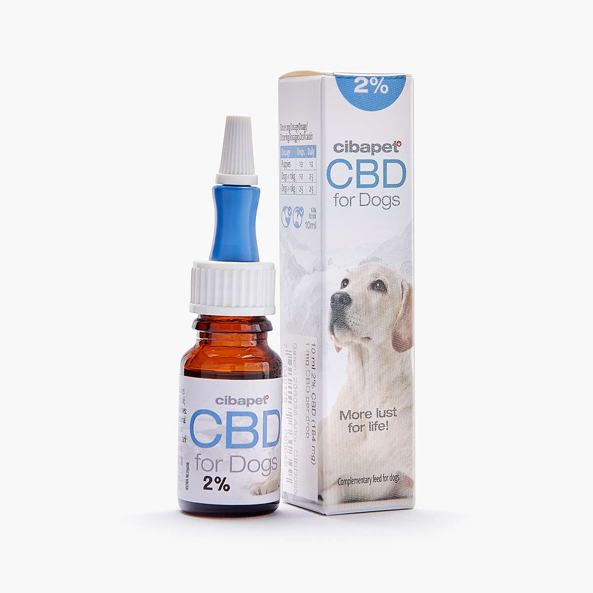 Huile de CBD pour les animaux de compagnie : Pourquoi et comment donner du  CBD à votre chat ou à votre chien ?